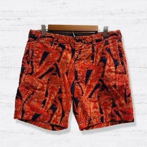 J. Crew Stanton men's 31 X 9 novelty print shorts.